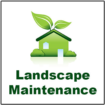 Landscape-Maintenance